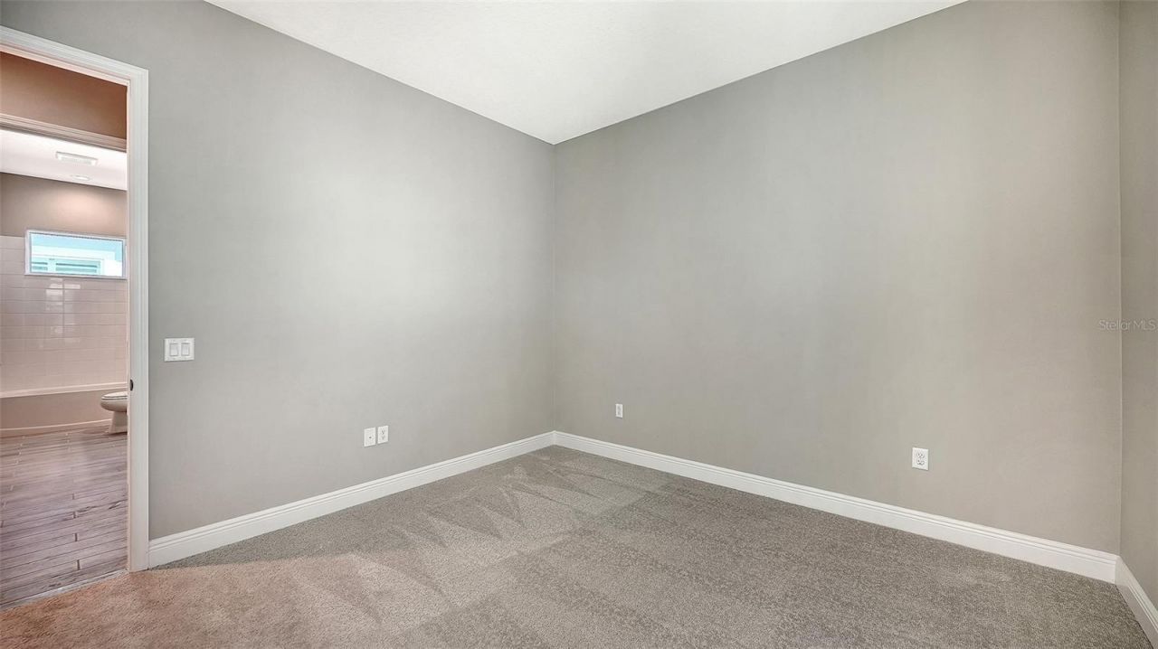 10103 Hammock Brook Drive, Parrish, FL 34219 Photo