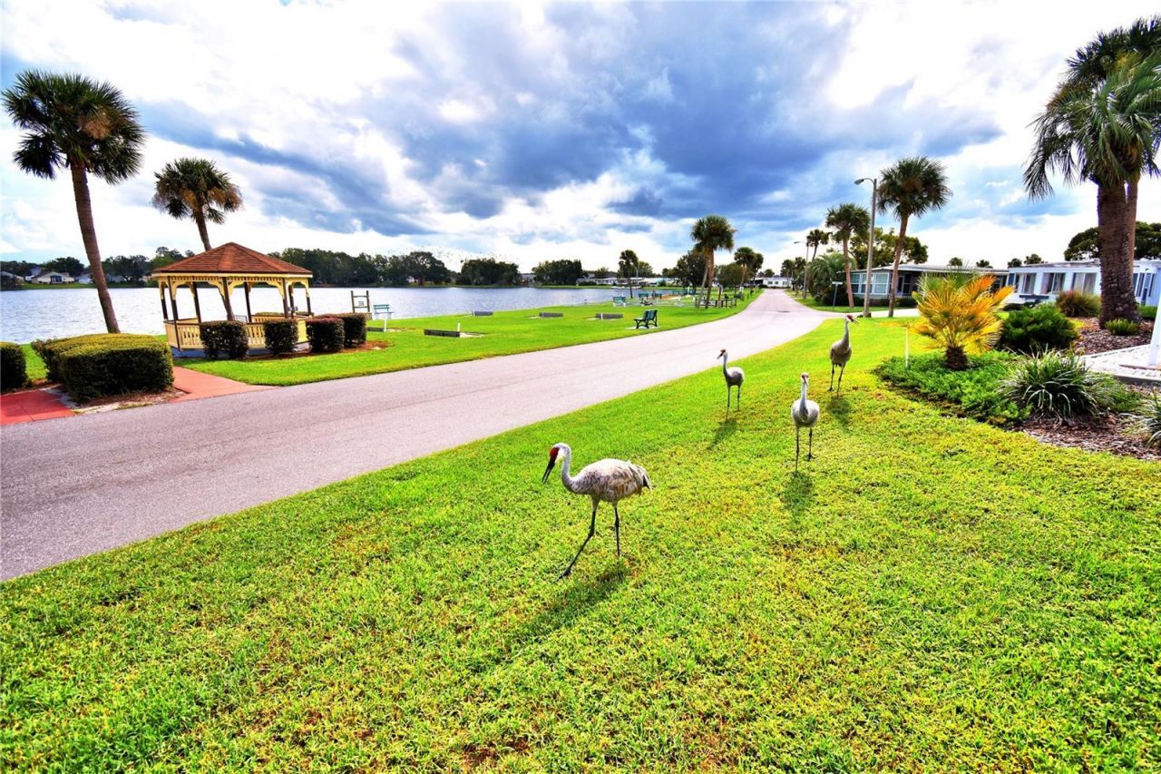 4063 Rolling Oaks Drive, Winter Haven, FL 33880 Photo