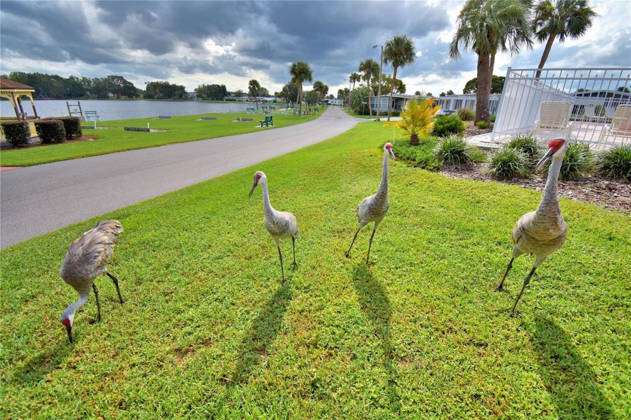 4063 Rolling Oaks Drive, Winter Haven, FL 33880 Photo