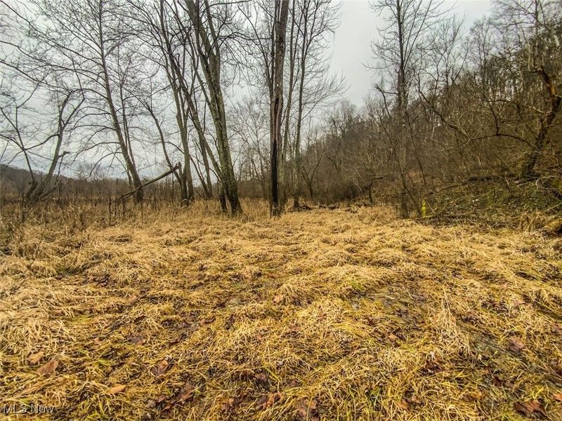 0 State Road 144 Highway, Coolville, OH 45723 Photo 11