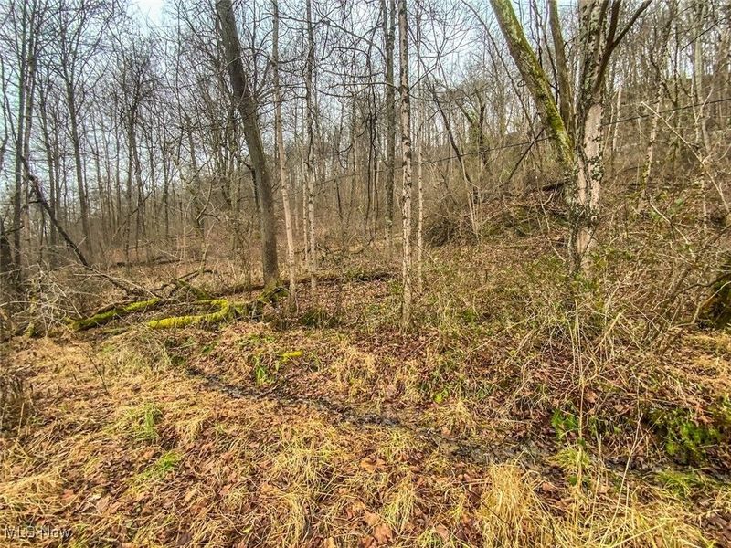 0 State Road 144 Highway, Coolville, OH 45723 Photo 9