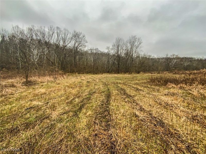 0 Wells Road, Middleport, OH 45760 Photo 12