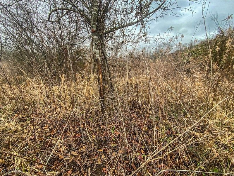 0 Wells Road, Middleport, OH 45760 Photo 13