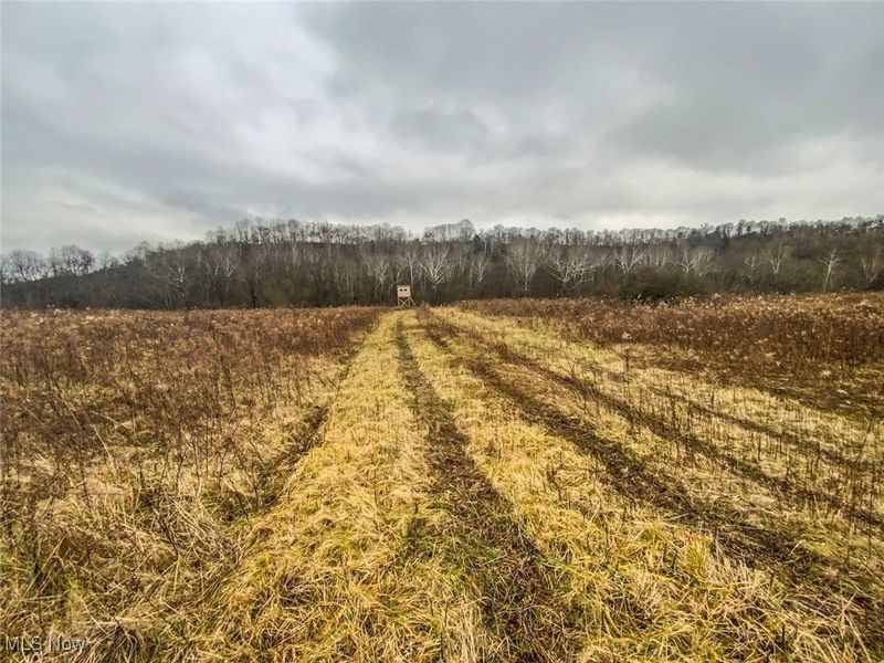 0 Wells Road, Middleport, OH 45760 Photo 5