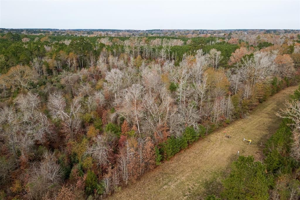 00 State Highway 204, Nacogdoches, TX 75964 Main Photo