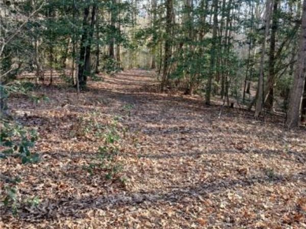 0 Bull Neck Road , Caret, VA 22436