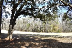 21 Fairway Drive photo 4