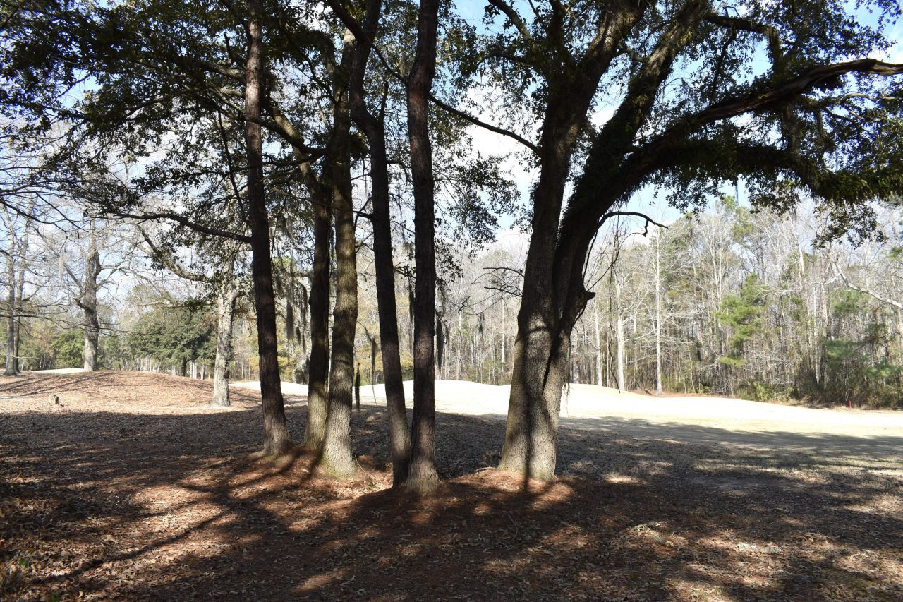 21 Fairway Drive Photo 5