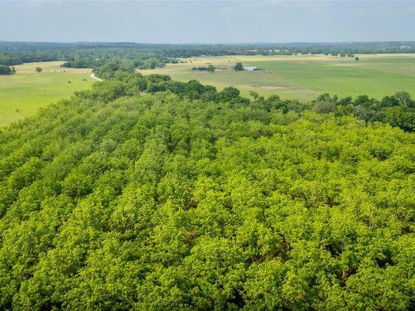 452 Ponderosa RD, Bastrop, TX 78602