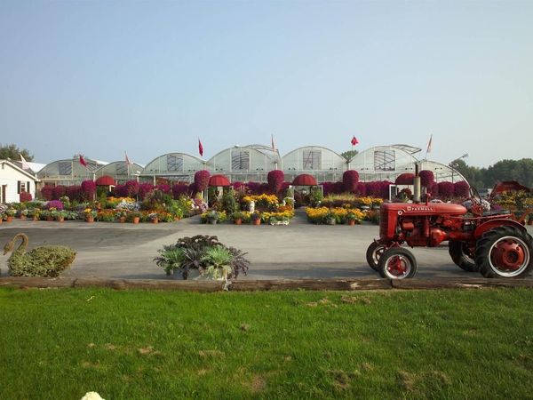 726 AIRPORT DRIVE, Oneida, WI 54155