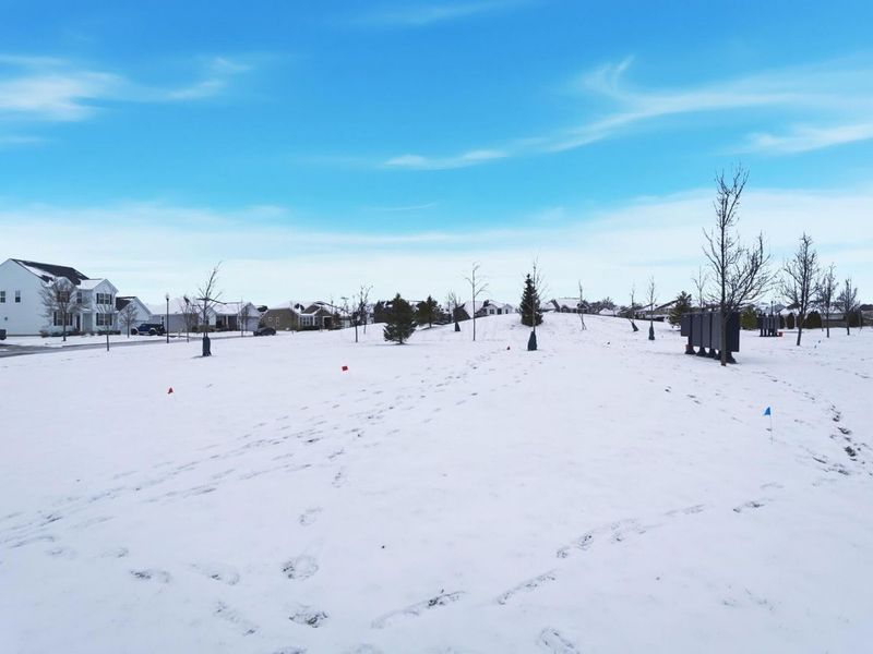 231 Leather Leaf Circle, Sunbury, OH 43074 Photo 57