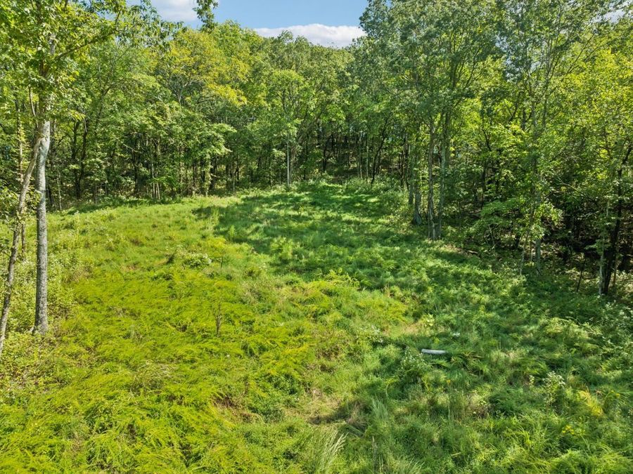 Property Image 50