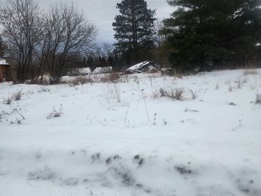 12096 Ramsey Street , Northome, MN 56661