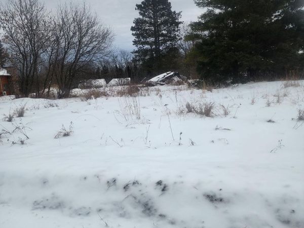 12096 Ramsey Street , Northome, MN 56661