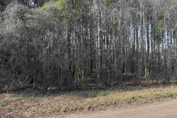 Lt 4 Rolling River Rd. photo 4