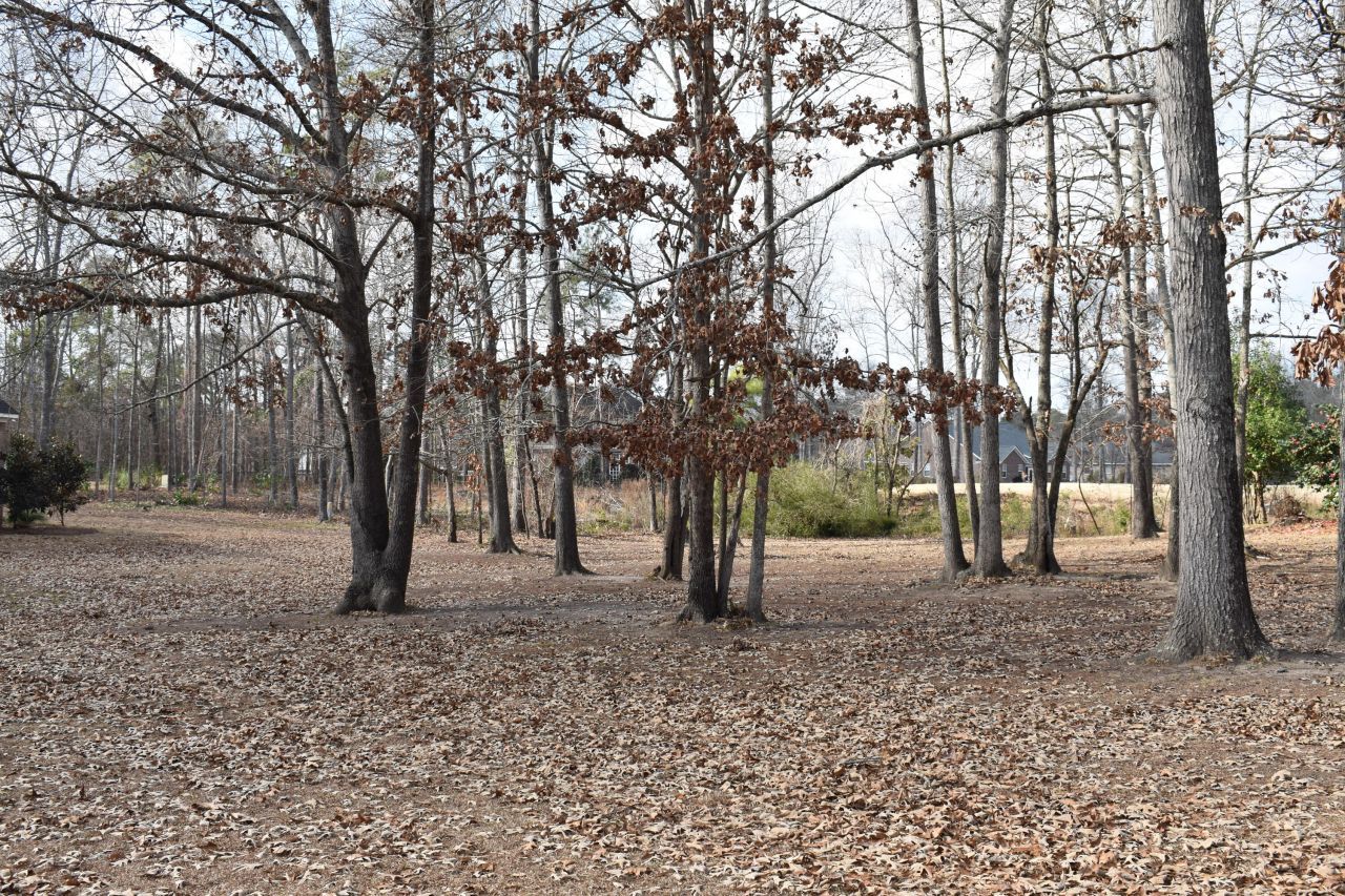 50 North Lake Circle Photo 4