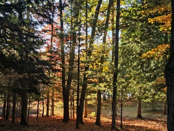 1089 Greensview Drive, Manistee, MI 49660