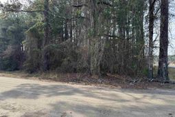 Lt 3 N Highway 905 photo 4