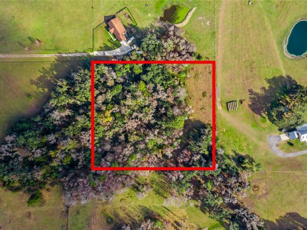 TBD CR 526, SUMTERVILLE, FL 33585