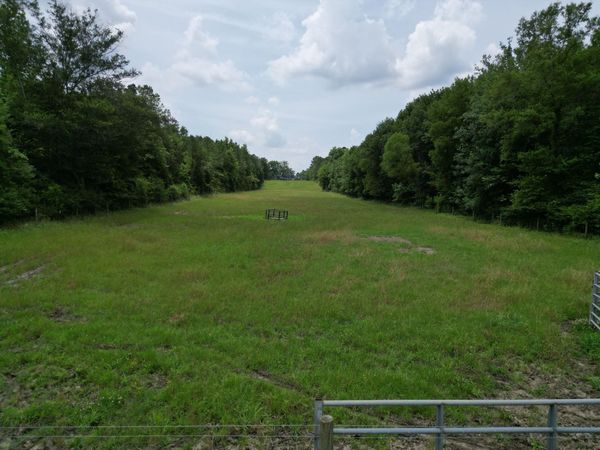 Honey Lake Rd, Macon, MS 39341