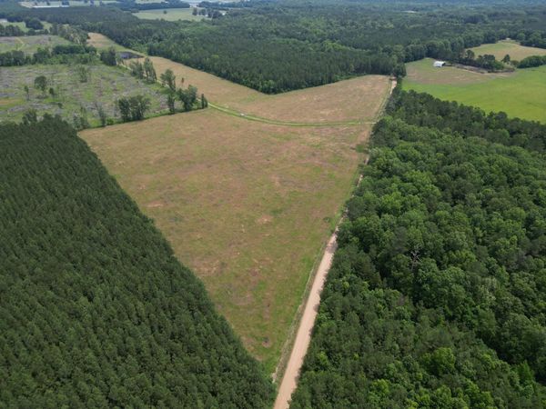 Honey Lake Rd, Macon, MS 39341