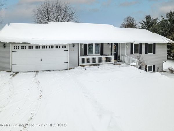 9073 Wabasis Shores Drive, Greenville, MI 48838