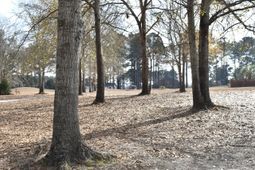 20 Lake Arbu Drive photo 4