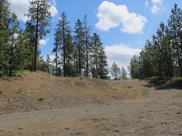 Flicker Lot 4 Sontag Ridge Dr, Davenport, WA 99122