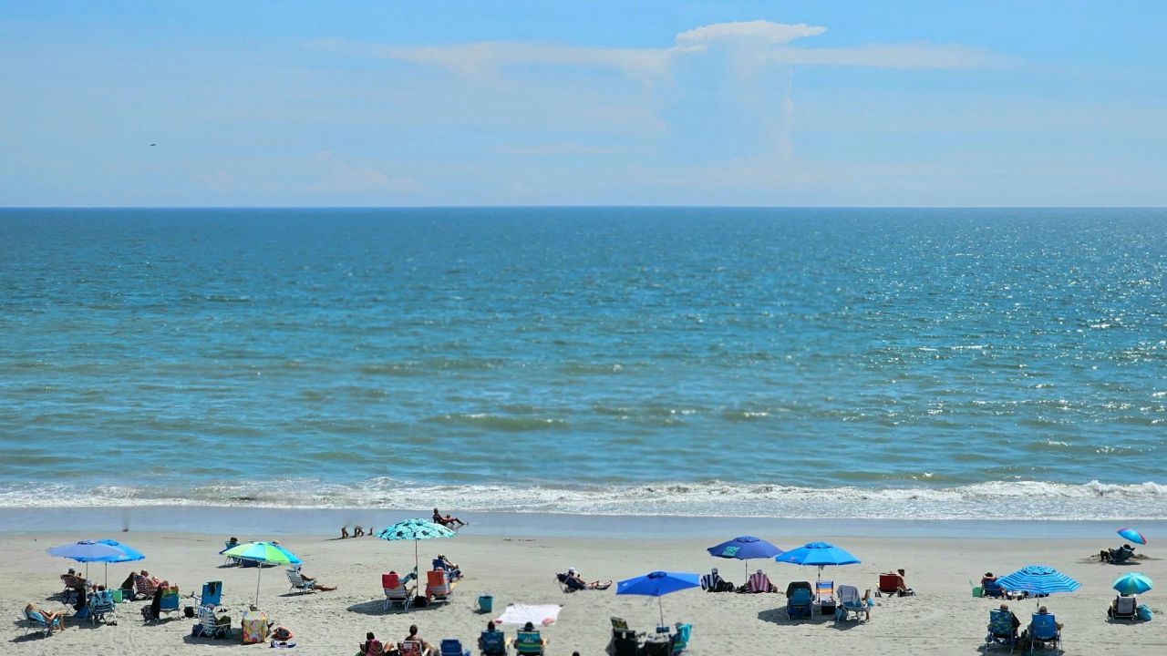 2450 Marsh Glen Dr. Photo 39