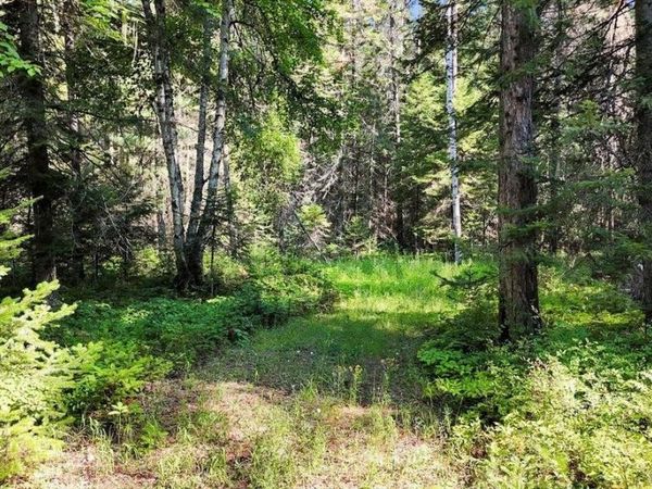 238 Rustic Rd, Cusick, WA 99119