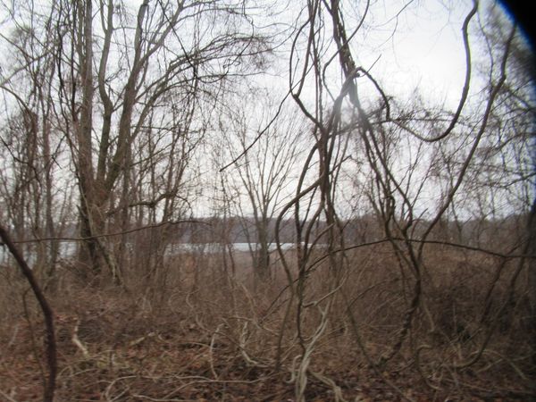 17673 Long Lake Drive, Cassopolis, MI 49031