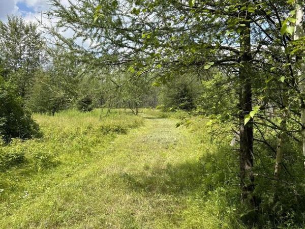 Lt44 BIG CUB TRAIL, Laona, WI 54541