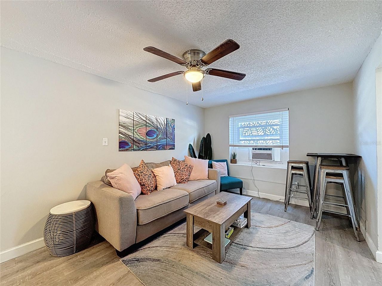 3631 Park Street N, Saint Petersburg, FL 33710 Photo