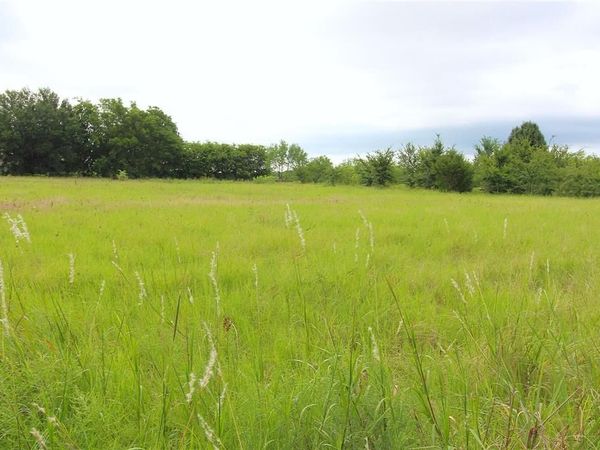 TBD CR-4079, Scurry, TX 75158