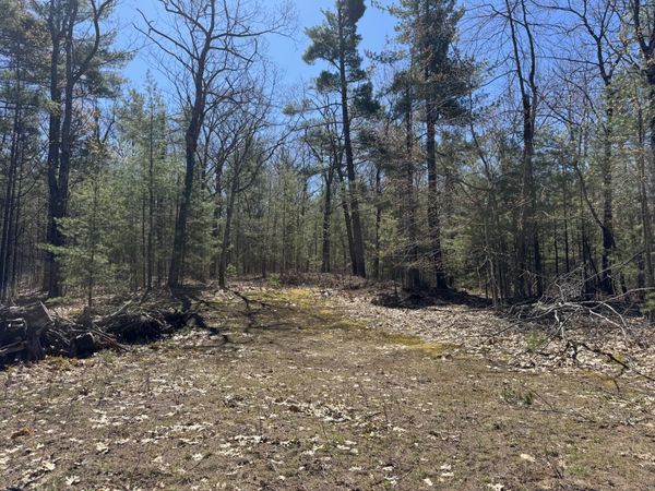 865 Wintree Drive, Indian River, MI 49749