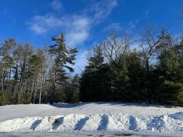 865 Wintree Drive, Indian River, MI 49749