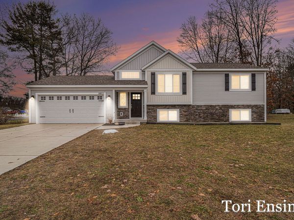 8802 Huron Drive, Howard City, MI 49329