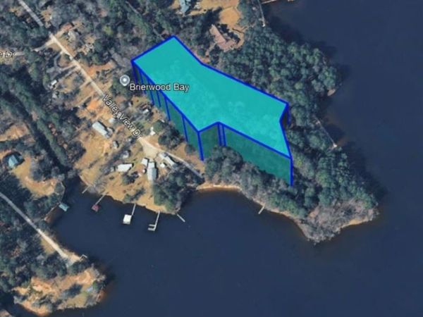 TBD Carene Drive, Frankston, TX 75763