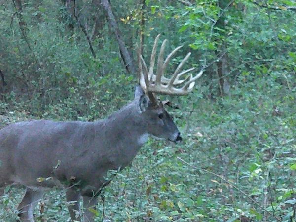 00 Yellow Banks Road, Mulkeytown, IL 62865