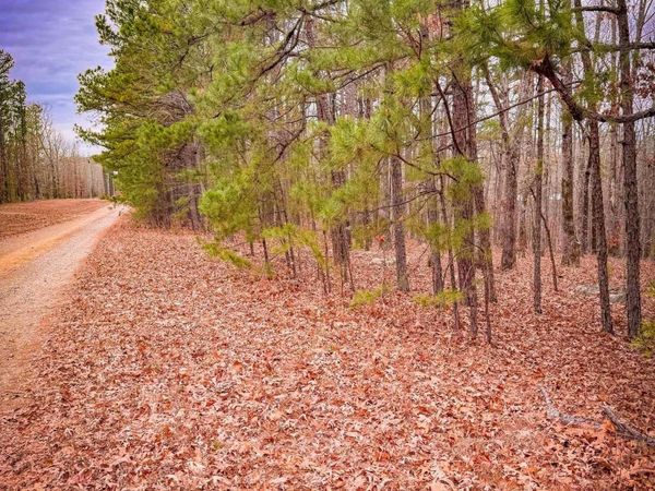 00 Heather Ridge Road, Bigelow, AR 72016