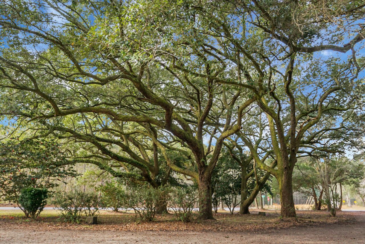 3206 Edenvale Road Photo 14