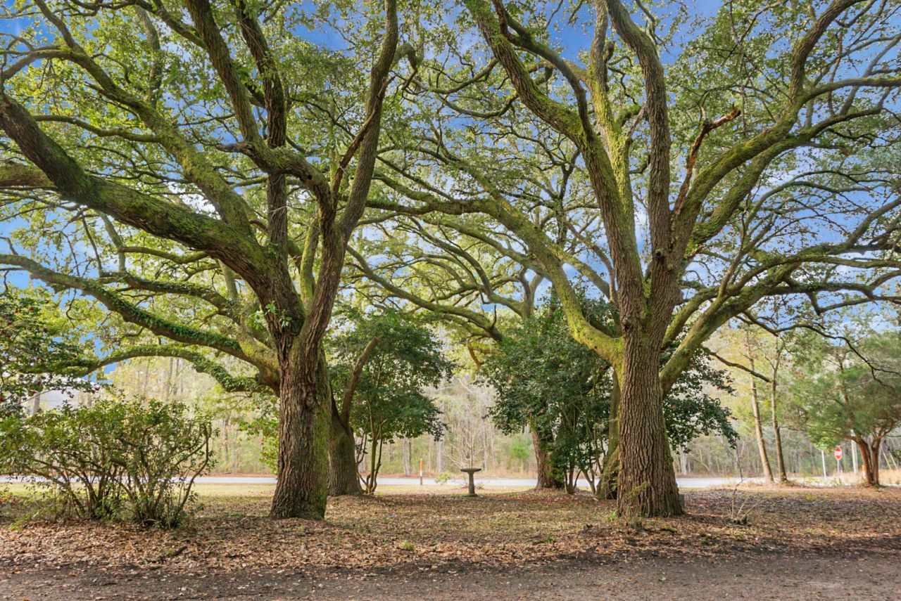 3206 Edenvale Road Photo 15