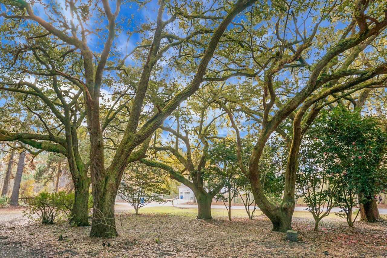 3206 Edenvale Road Photo 4