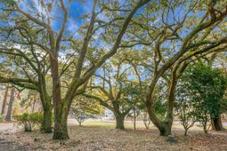 3206 Edenvale Road photo 4