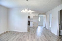 12264 N Highway 905 photo 4