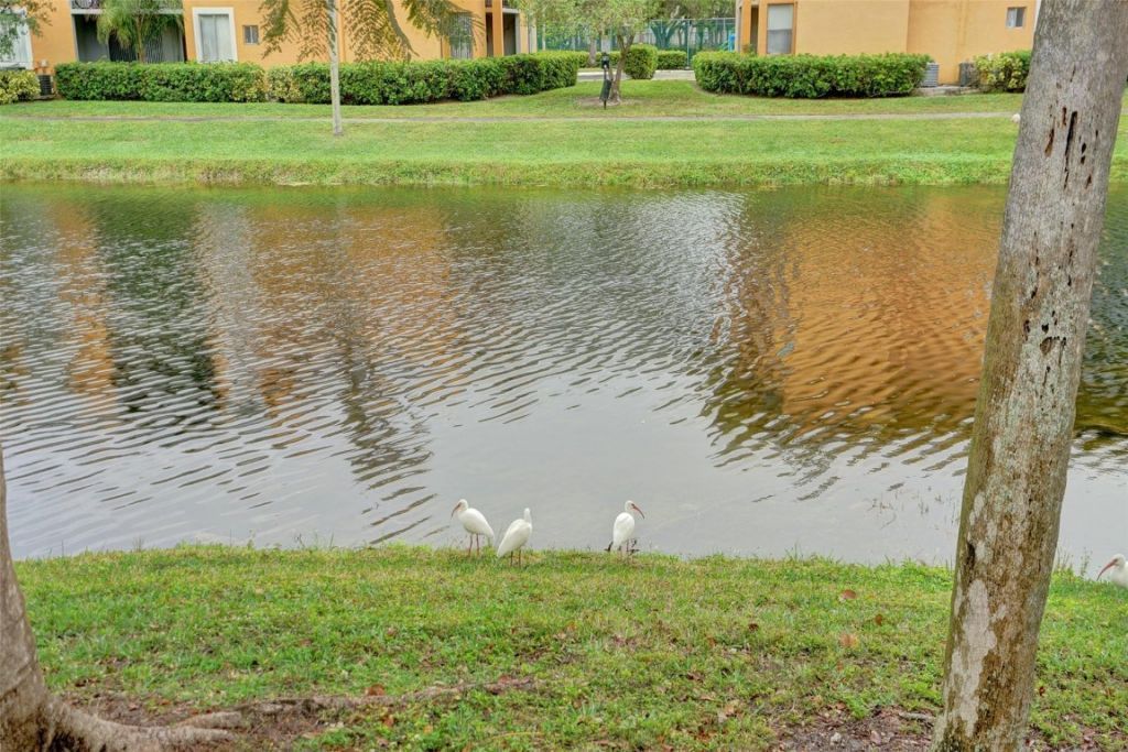 7680 NW 79th Avenue, Unit P 1, Tamarac, FL 33321 Photo