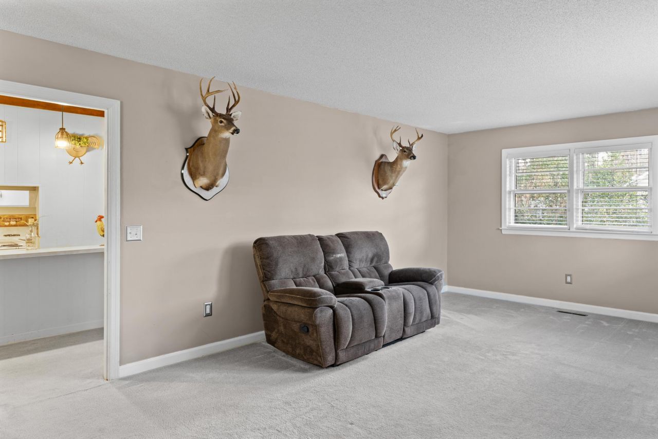 204 Brook Drive Photo 15