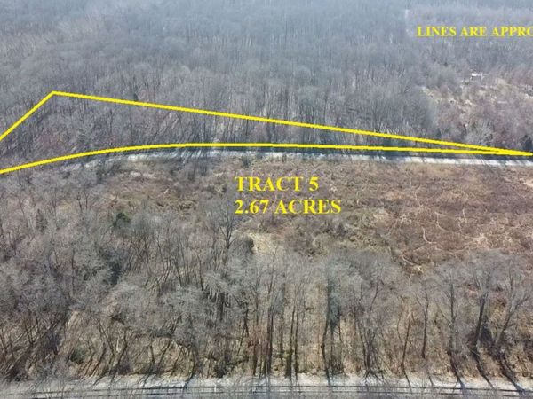 0 E Mozart Road, Woodlawn, IL 62898