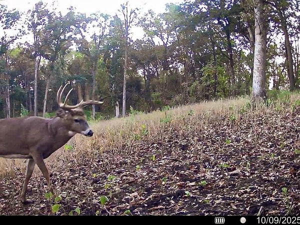 W27022 WHISTLERS PASS ROAD, Dodge, WI 54625