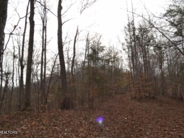 6.49ac Garrett Town Lane, Monroe, TN 38573
